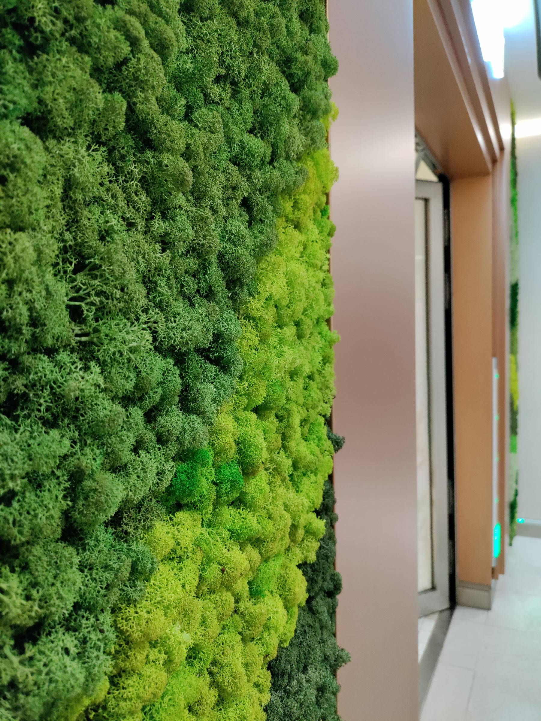 Perfetto-interiors-design-cruise-luxury-sun-princess-26-E